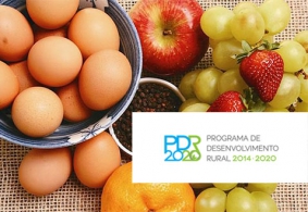Candidaturas PDR 2020